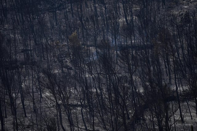 Vista de los árboles arrasados por las llamas en uno de los mayores incendios forestales en décadas en Fontjoncouse, en el sur de Francia, el 8 de agosto de 2025. (AP Foto/Manu Fernández)