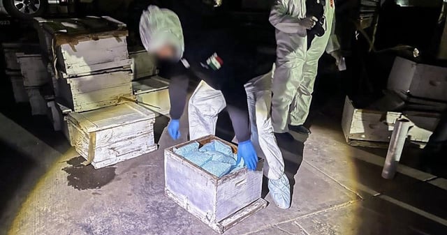 La Fiscalía General de la República (FGR) aseguró alrededor de un millón 210 mil pastillas de fentanilo, 70 kilos de metanfetamina y cinco kilos de cocaína ocultos en panales de abeja en febrero de 2024. Foto: Cuartoscuro