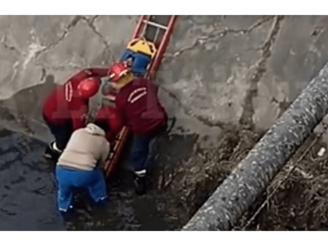 La mujer se salvó de milagro (gentileza El Tribuno).