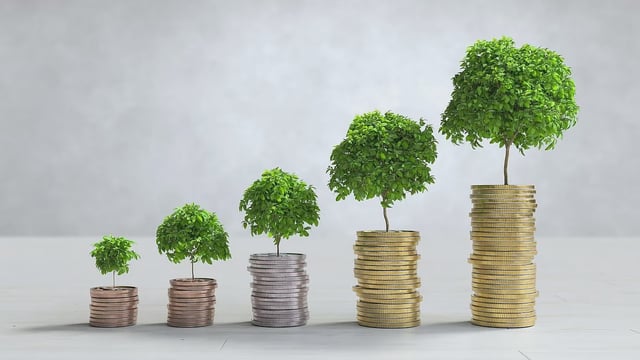 dividend