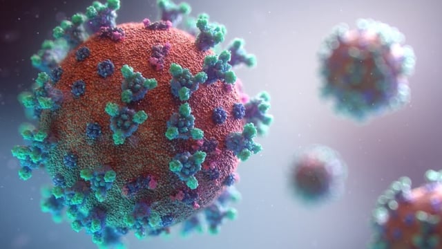 Under the WHO list of COVID variants to watch for, Nimbus has been classified as a variant under monitoring.