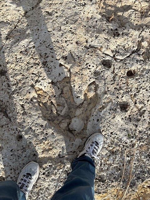 A photo of the three-clawed footprint shows it is a bit bigger than a human foot.
