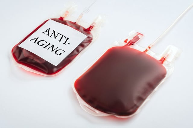 Combining young blood with bone marrow might lead to a new class of anti-aging ingredients