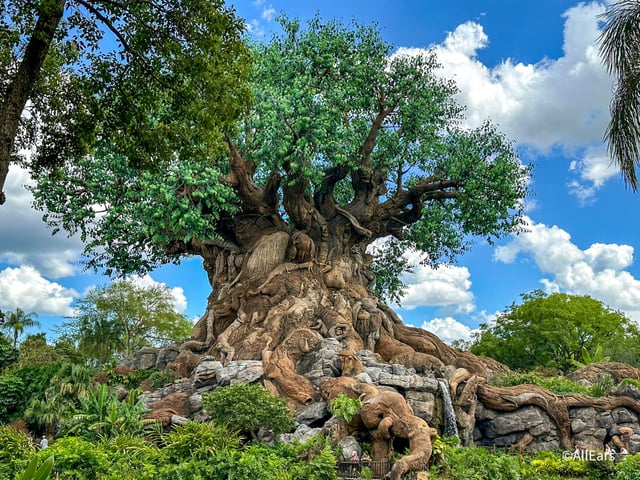 Disney's Animal Kingdom