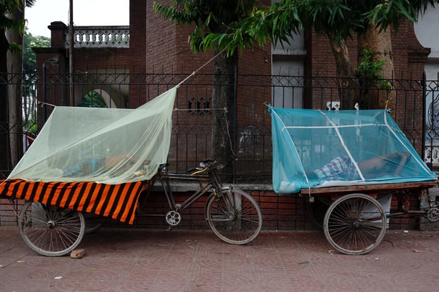 People sleep on three-wheeler carts using mosquito nets, following a surge of dengue-infected patients, in Dhaka, Bangladesh, June 25, 2025. REUTERS/Mohammad Ponir Hossain/File Photo
