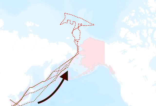 A map based on ship data captured by Global Fishing Watch shows the paths of five Chinese icebreakers sent to the Arctic from July-August 2025.