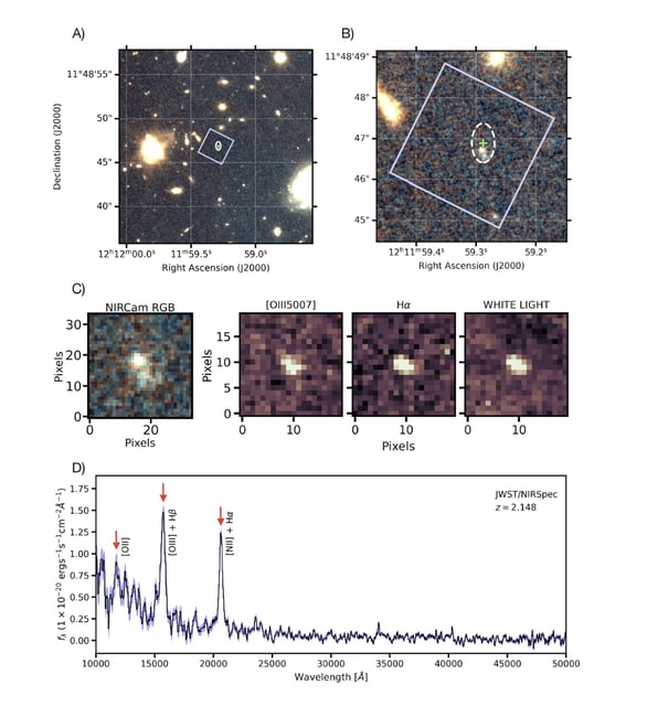 The galaxy found to be hosting FRB 2020304B. The top left image shows the field of view surrounding the observation region, with the NIRcam footprint shown on the right. The square shows the NIRSpec IFS observation footprint, and the most likely position of FRB 2020304B shown as a green cross surrounded by the localisation uncertainty (white circle). The middle images show, from left to right, the author’s NIRCam observations, Oxygen III data from NIRSpec, Hydrogen alpha data from NIRSpec, and a white light image from NIRSpec. The bottom panel shows the spectrum (black line) and its uncertainties (shaded region) of the host galaxy (Credit : South African Radio Astronomy Observatory)