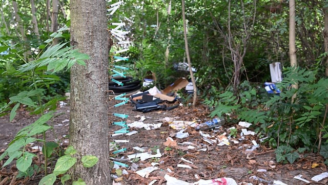 Berlin – Es ist ein schockierendes Bild auf einem begrünten Mittelstreifen in Berlin: R...