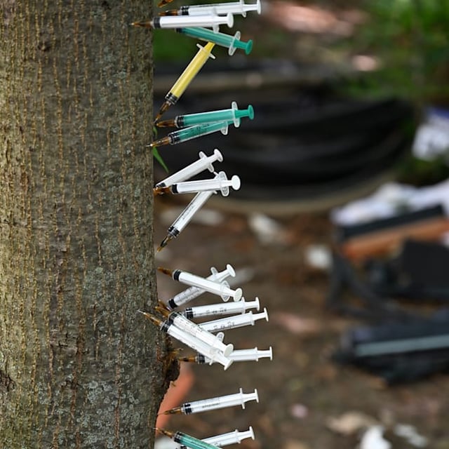 Berlin – Es ist ein schockierendes Bild auf einem begrünten Mittelstreifen in Berlin: R...