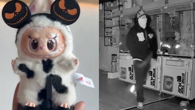 Labubu theft