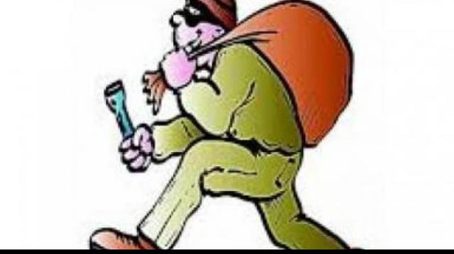 The leader of the gang was Castro, who would generate lists of robbery targets in various states around the country, specifically families of Asian and Indian ancestry, and then assign her accomplices to carry out the armed robberies of these families within their homes, the Department of Justice said. (Representational Image)
