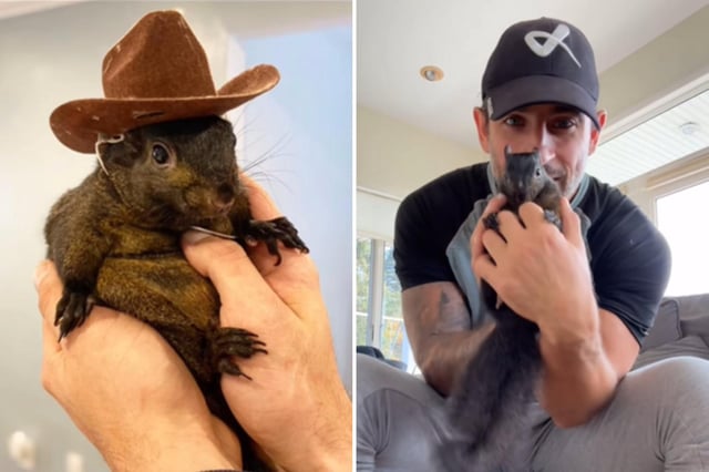 Pictures of Peanut the squirrel and his owner Mark. Peanut was recently seized by the New York Department of Environmental Conservation.