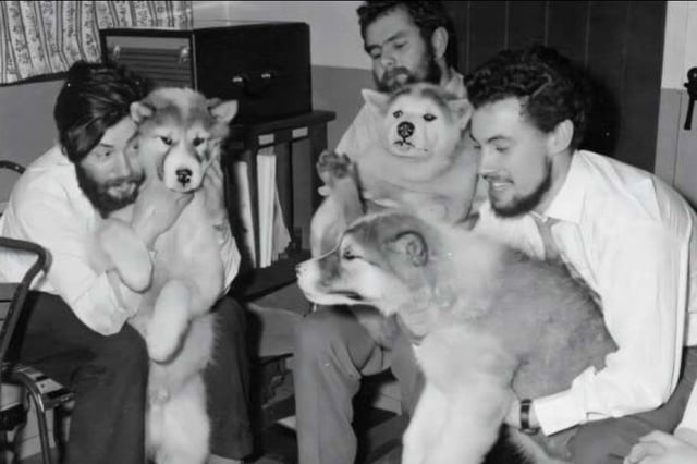 Dennis Bell (izquierda) con sus compañeros y los perros que los ayudaron a trabajar en la Antártida, en pleno invierno de 1959 en la Base de la Bahía del Almirantazgo