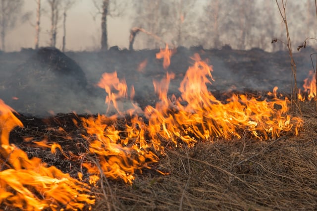 A wildfire is pictured in this file photo. (Shutterstock)