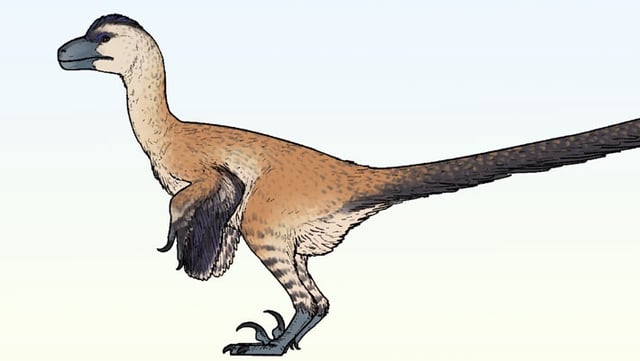 Life reconstruction of Shri rapax. Image credit: Connor Ashbridge / CC BY 4.0.