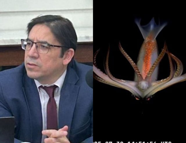 Un funcionario de Milei apuntó contra el Conicet