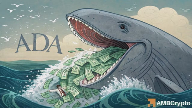 $166M whale bet keeps ADA steady, but Cardano can rally to $1 ONLY IF…