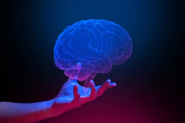Game-changing: Scientists were able to restore memory function my manipulating mitochondria