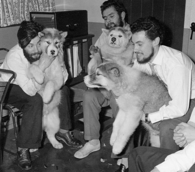Undated handout photo issued by British Antarctic Survey of Dennis Bell (left) with his fellow colleagues and the dogs that helped them to work in Antarctica - Midwinter 1959 at Admiralty Bay Base.