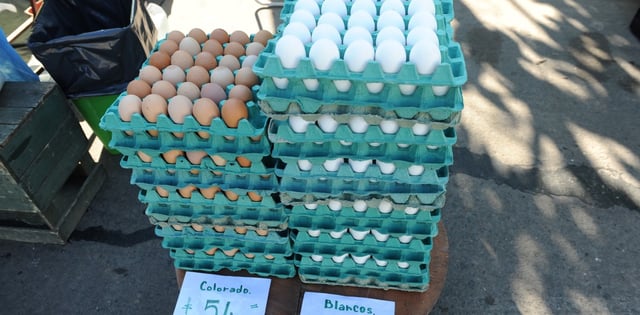 En total, Argentina produce más de 18.000 millones de huevos al año, 
