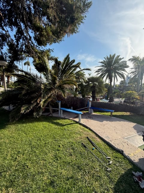 A roughly 40-foot palm tree at Golf N' Stuff in Ventura fell on Adela Magaña on Aug. 6, and her arm had to be amputated the following day.