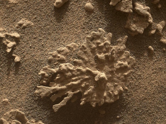This image of the Paposo rock was taken by Curiosity’s MAHLI instrument on July 24, 2025. Image credit: NASA / JPL-Caltech / MSSS.