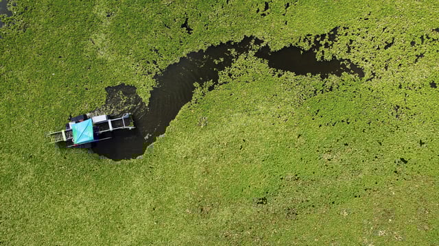 A drone view shows a boat equipped to clean, working on El Cerron Grande reservoir, which is covered with water lettuce (Pistia stratiotes) due to pollution, in Suchitoto, El Salvador August 12, 2025. REUTERS/Jose Cabezas