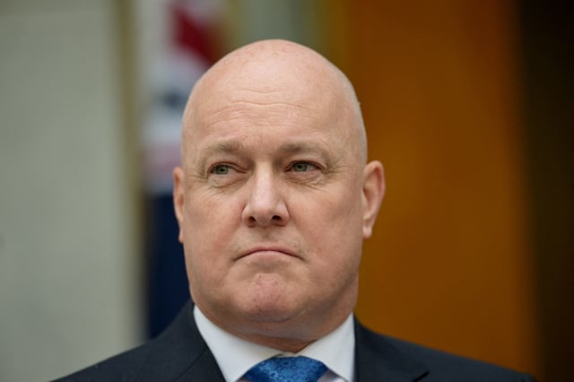 New Zealand's Prime Minister Christopher Luxon attends a press conference with Australia's Prime Minister Anthony Albanese(not pictured) at the Australian Parliament House in Canberra, Australia, August 16, 2024. REUTERS/Tracey Nearmy/File Photo