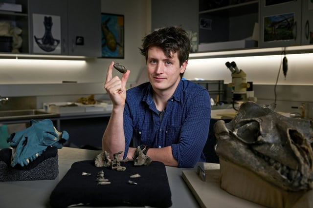 Le chercheur Ruairidh Duncan pose avec le fossile du crâne d'une baleine ancienne le 13 août 2025 aux Musées Victoria de Melbourne.