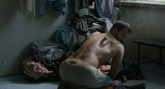 Review: Desire Lines