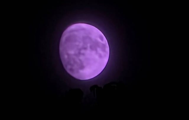 Galaxy One UI 8 Beta 4 shows purple moon bug