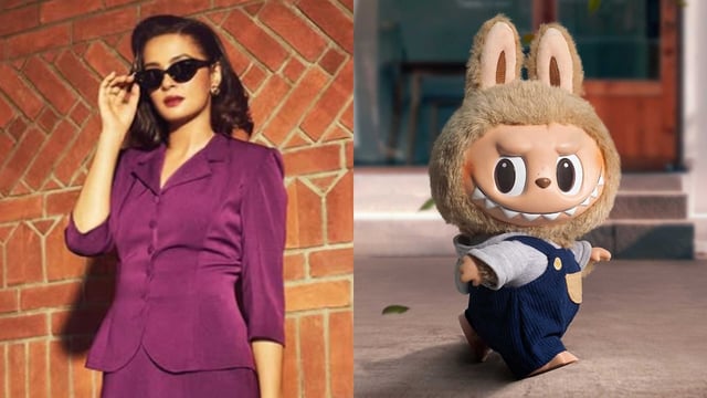 Surveen Chawla reacts to the crazy labubu dolls craze.