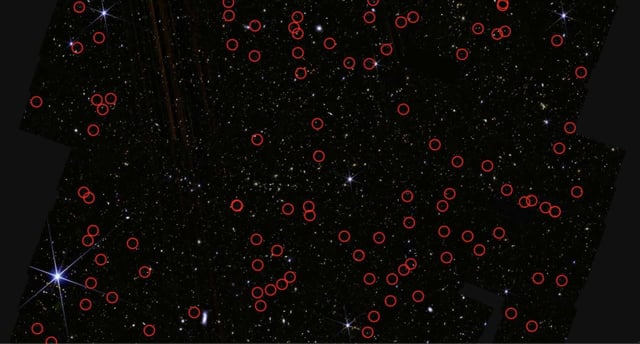 Image Credit: Bangzheng “Tom” Sun/University of Missouri.
