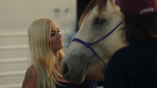 A girl and a horse.