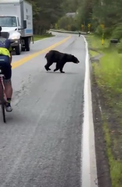 Bike4Chai Kicks Off Wednesday with Scenic Rides — and a Surprise Wildlife Encounter
