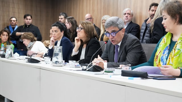 El escándalo por el fentanilo contaminado hizo pie en el Congreso