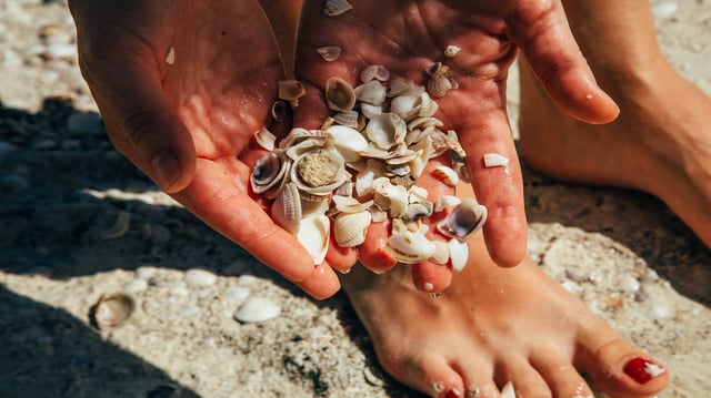 People and nature. Woman collecting shells on a beach