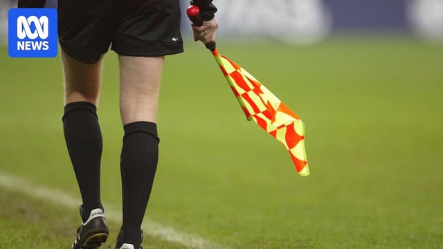 Generic soccer linesman