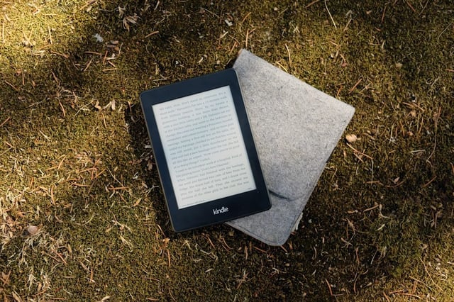 Kindle Petit Color prototype features color E Ink display