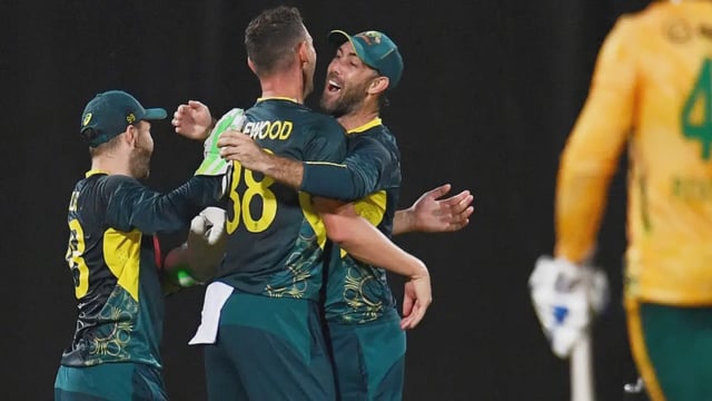 Players of Australian team celebrate fall of a wicket | Image: Associated Press