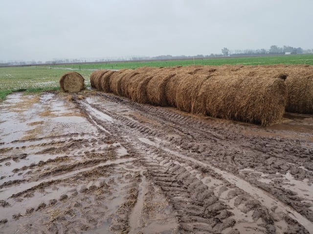Lluvias