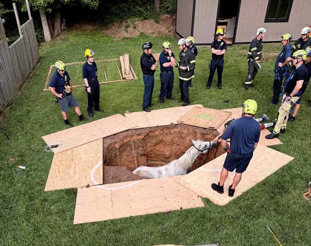 After falling into a pit Thursday morning in the Reisterstown area, a horse was sedated and rescued by Baltimore County fire crews. (Courtesy of Baltimore County Fire Department)