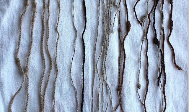 photo of a dark horizonal cord with multicolored knotted threads hanging from it