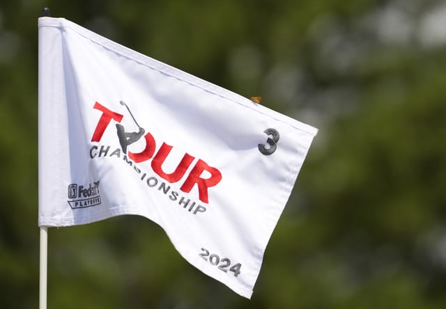 Sep 1, 2024; Atlanta, Georgia, USA; A moth land on the third hole pin flag during the final round of the TOUR Championship golf tournament. Mandatory Credit: John David Mercer-USA TODAY Sports/File Photo