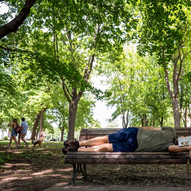 Miguel Roque from Portugal escapes the humidity by reading in the shade of Lafontaine Park in Montreal on Monday, June 23, 2025. THE CANADIAN PRESS/Christinne Muschi
