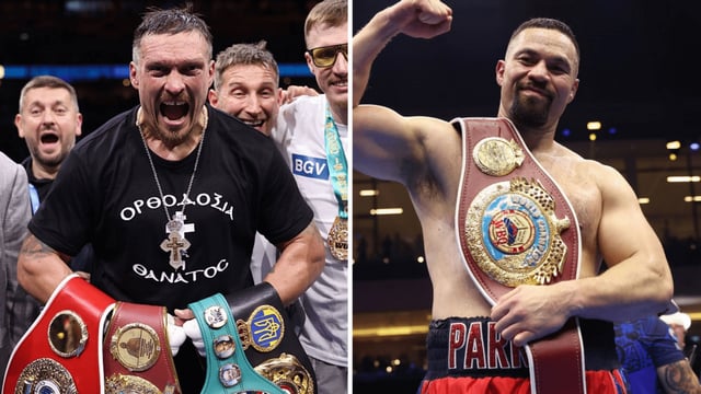 Usyk vs Parker