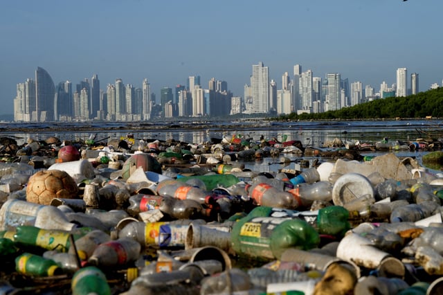 Plastic polluting a mangrove area lies in Panama Bay, Panama City, Panama December 6, 2024. REUTERS/Enea Lebrun/File Photo