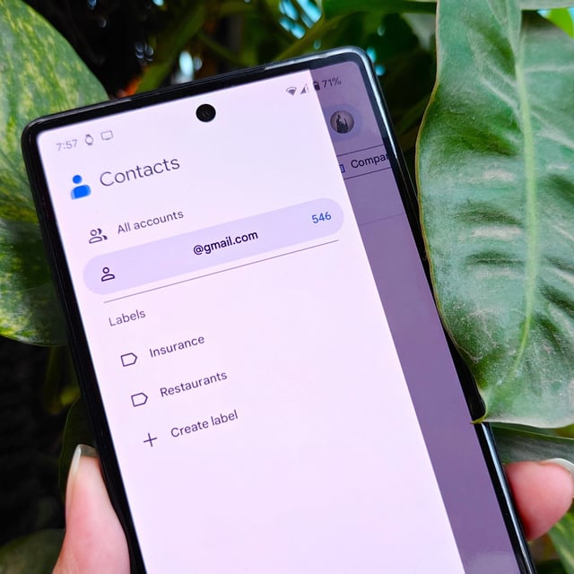 Google Contacts on a Pixel 6