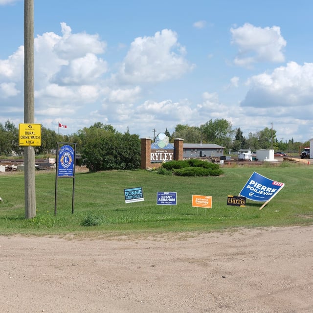 Numerous campaign signs outside the community of Ryley for the Battle River-Crowfoot Constituency By-Election, Ryley, Alberta. Photo taken August 11, 2025.