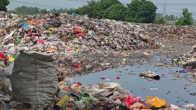 Garbage on the Gurugram-Farukhnagar road near Sultanpur National Park on Wednesday. (HT photo)
